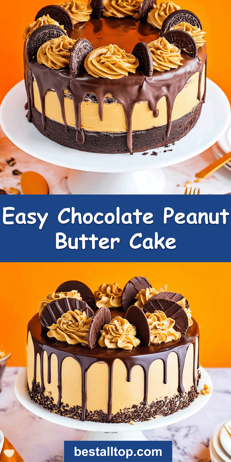 Chocolate Peanut Butter Cake
