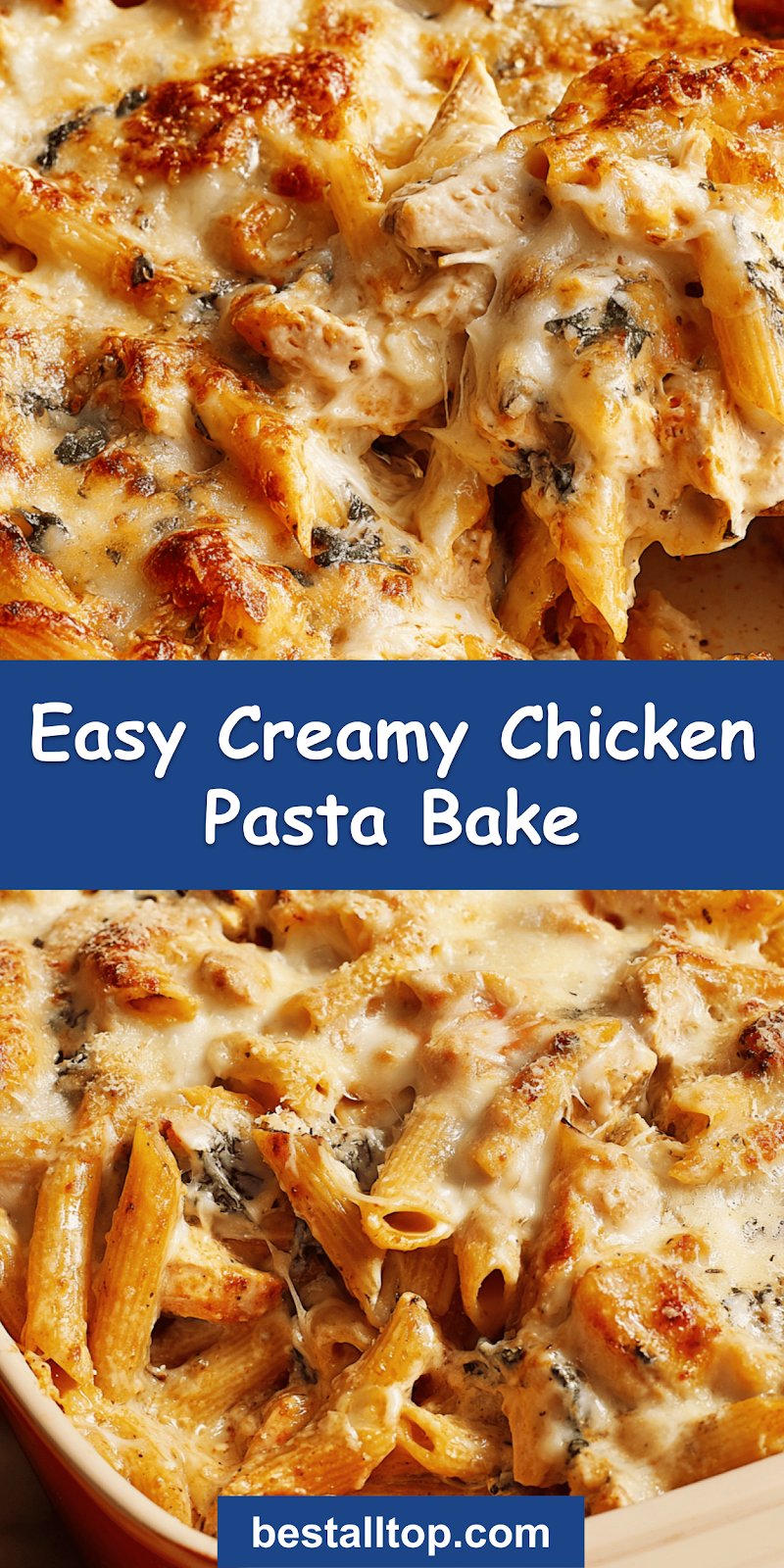 Creamy Chicken Pasta Bake