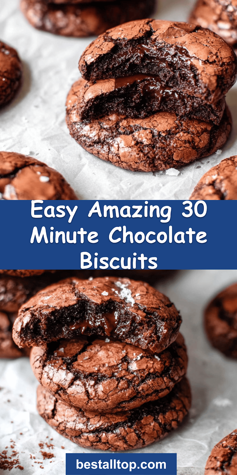 Easy 30 Minute Chocolate Biscuits