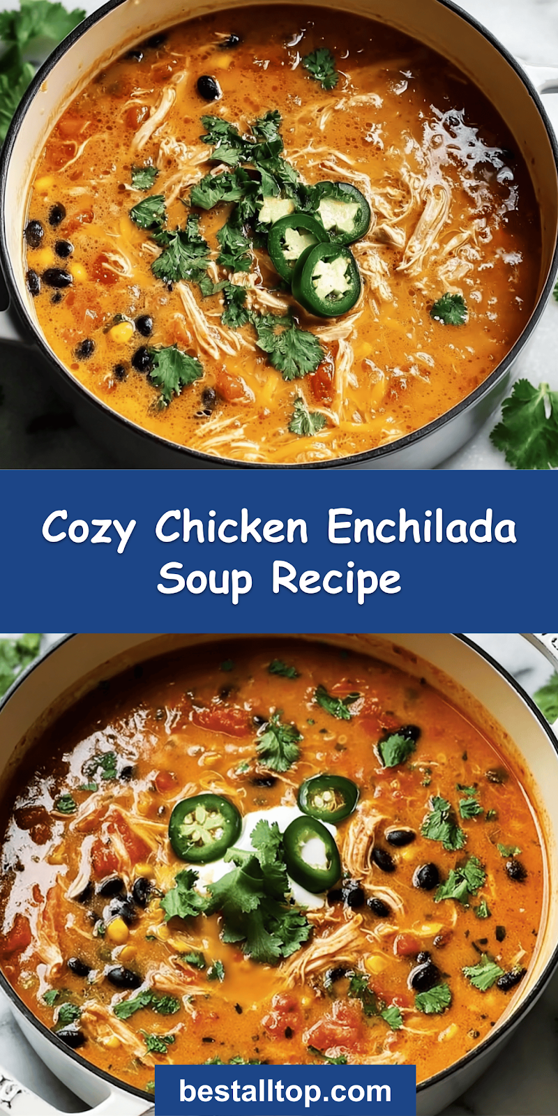 Chicken Enchilada Soup Recipe 