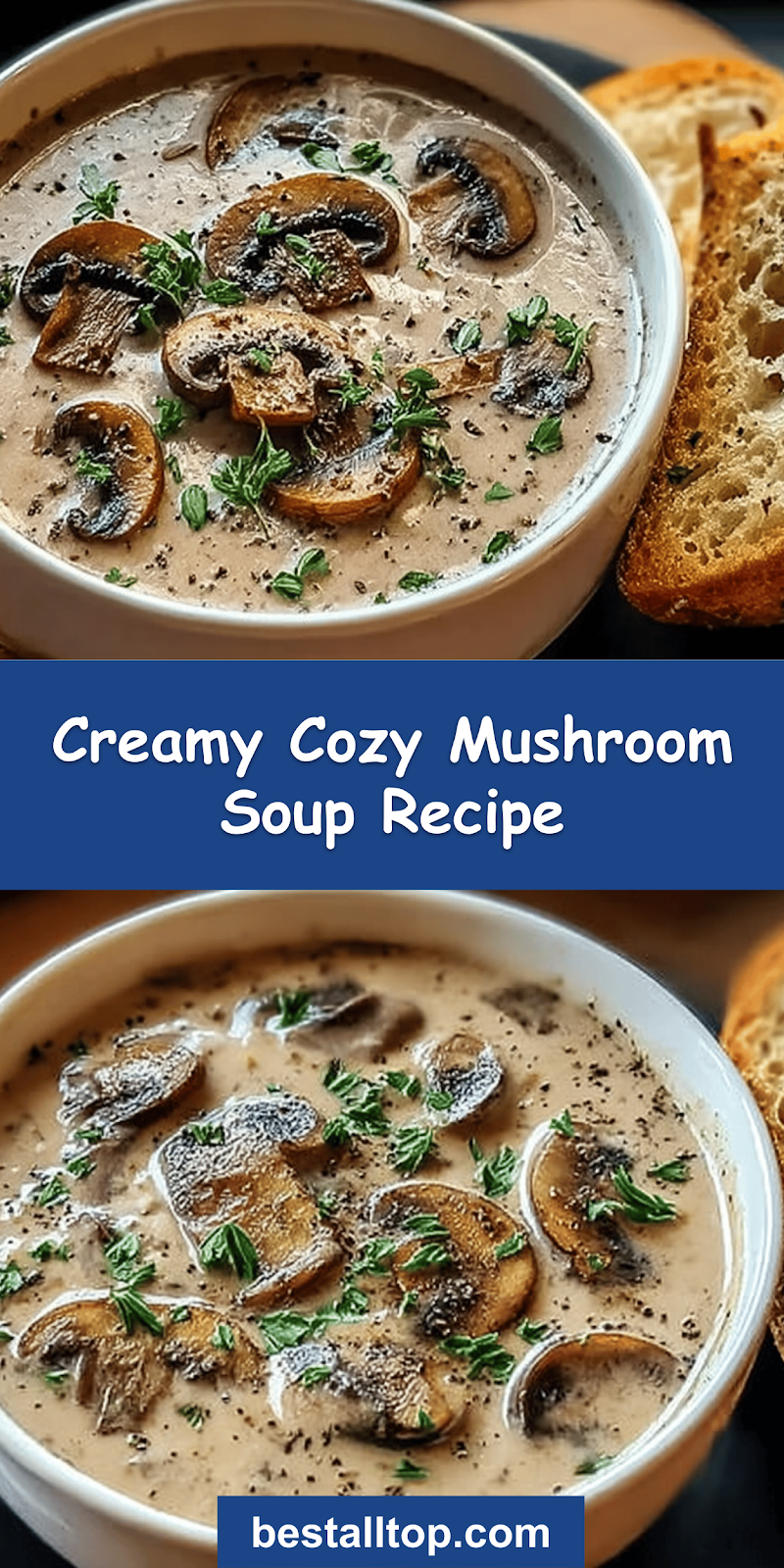 Creamy Mushroom Soup Recipe 