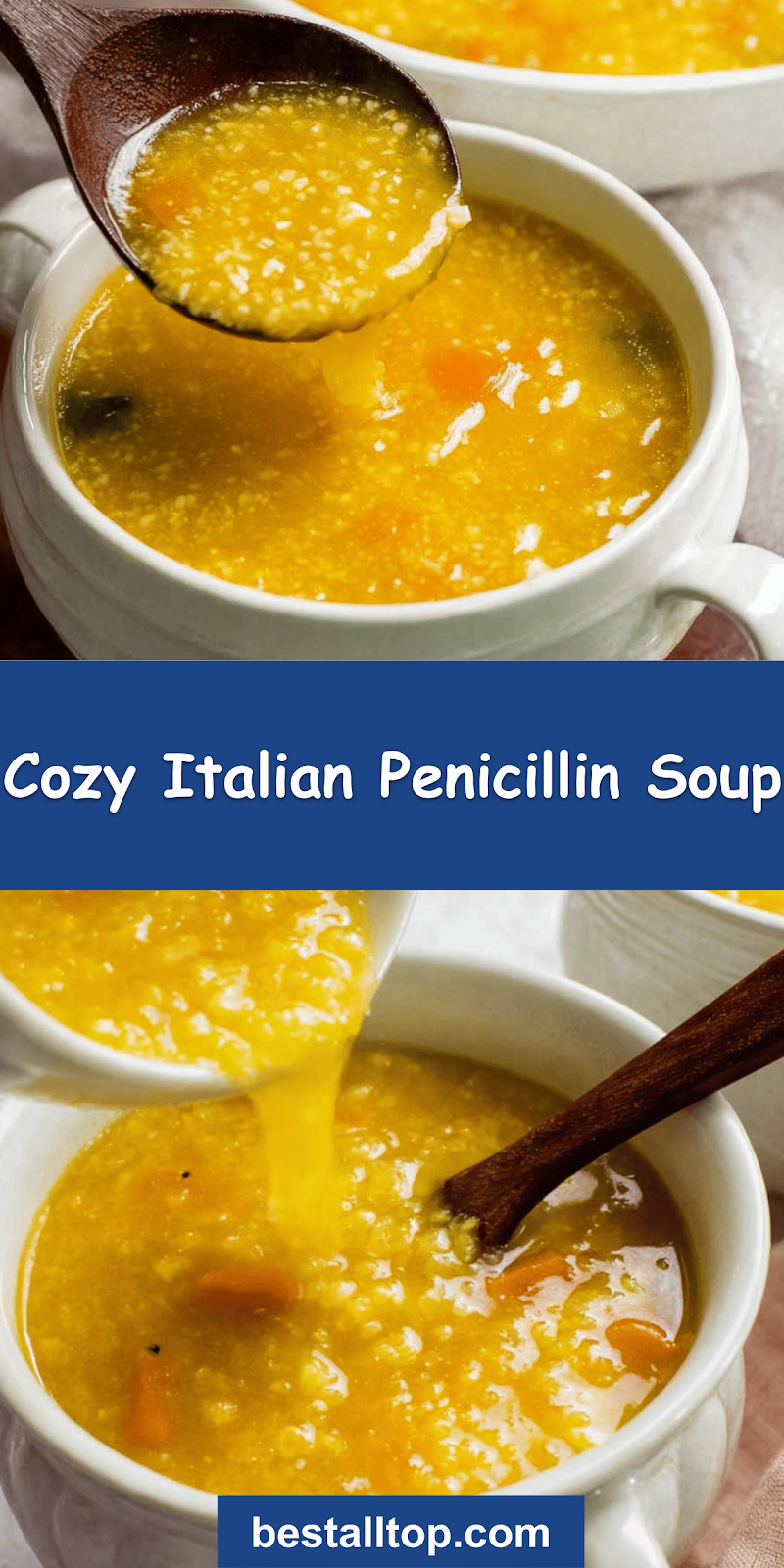 Italian Penicillin Soup