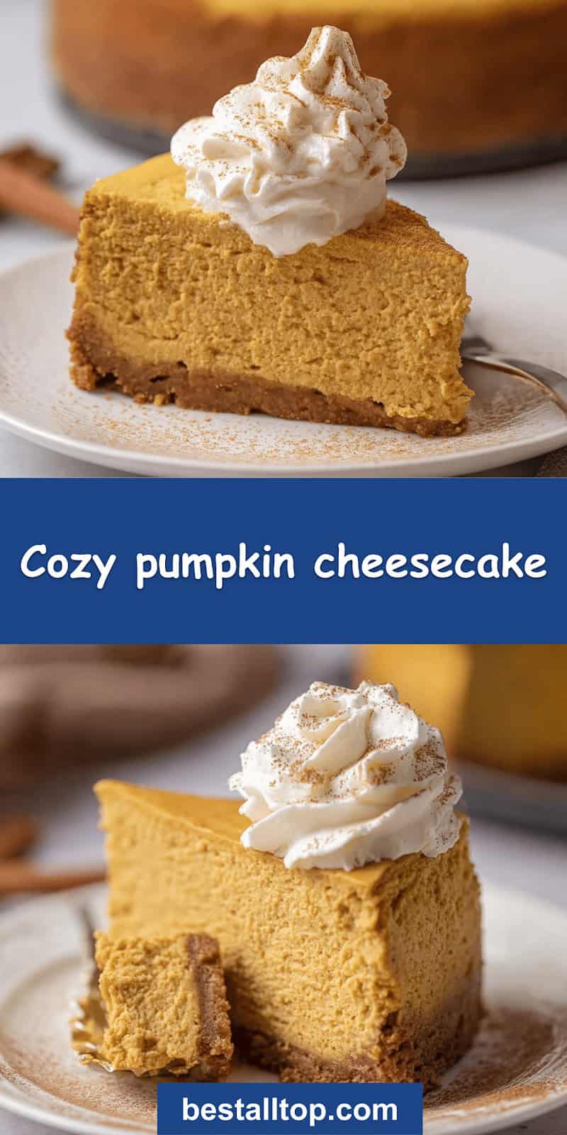 Pumpkin cheesecake