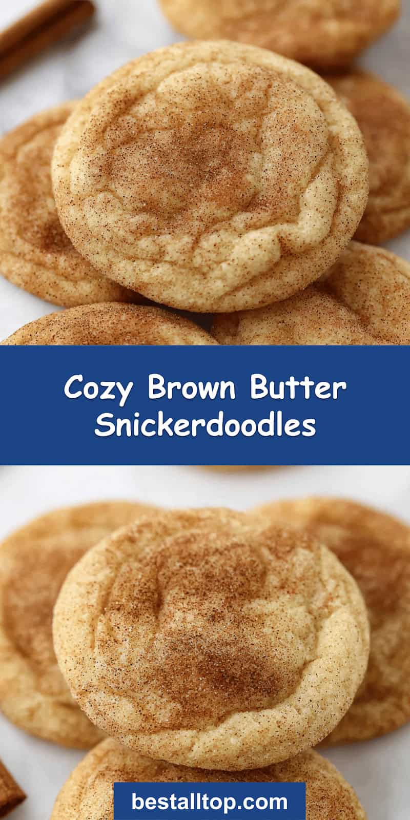 Brown Butter Snickerdoodles