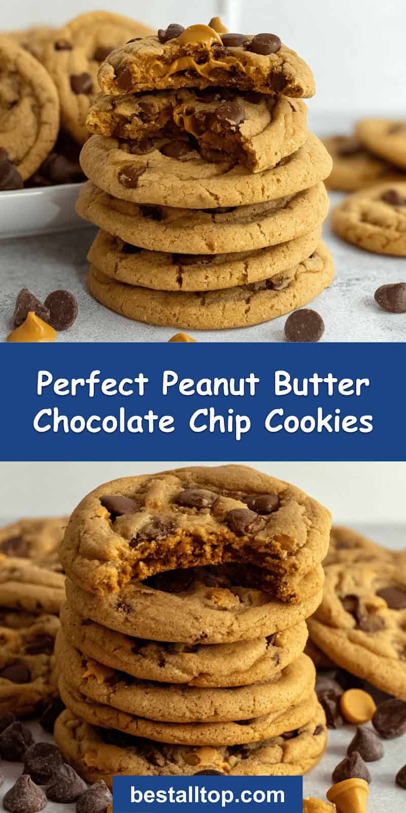 Peanut Butter Chocolate Chip Cookies