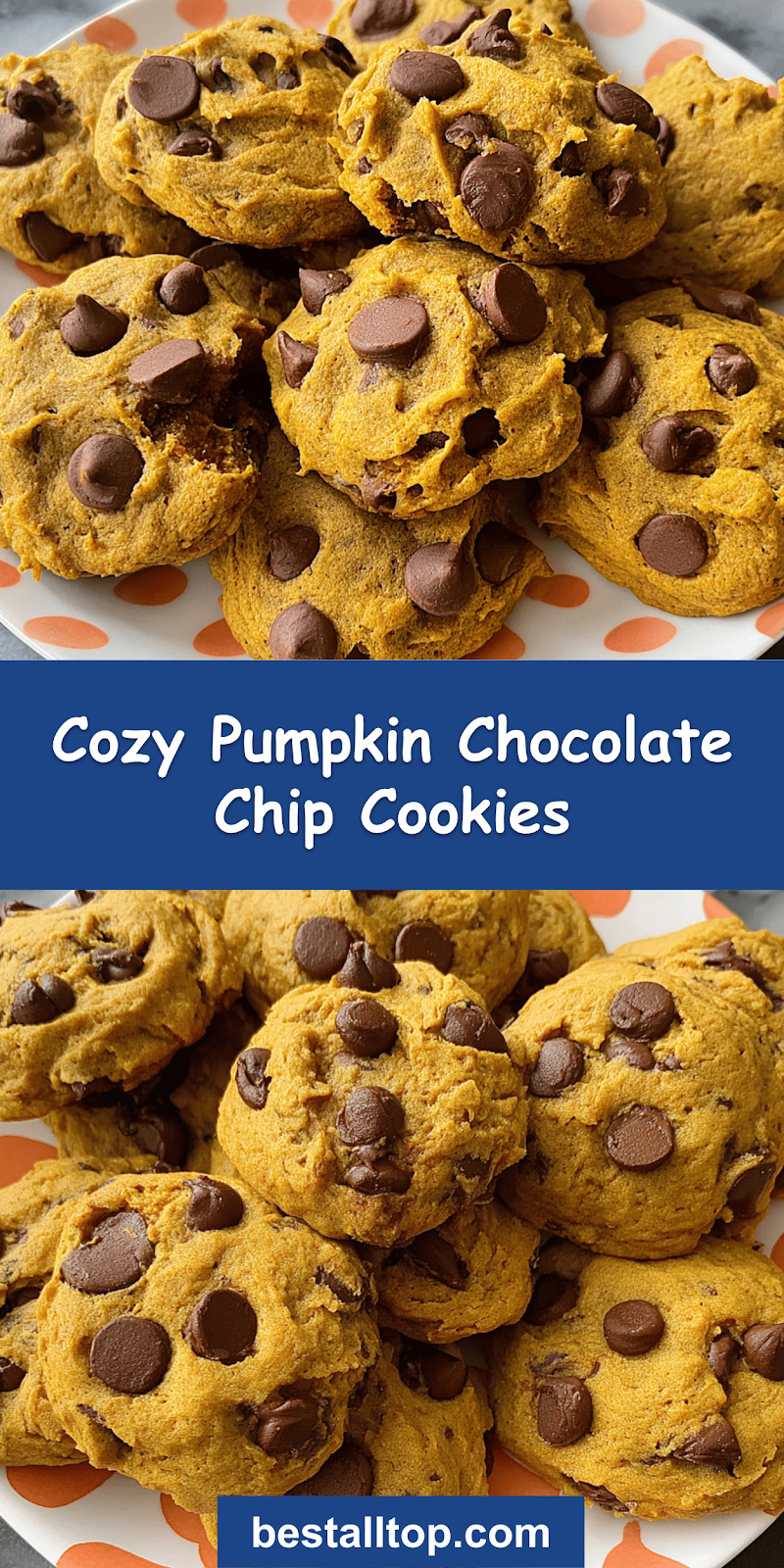 Pumpkin Chocolate Chip Cookies