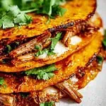 Crock Pot Birria Tacos Recipe