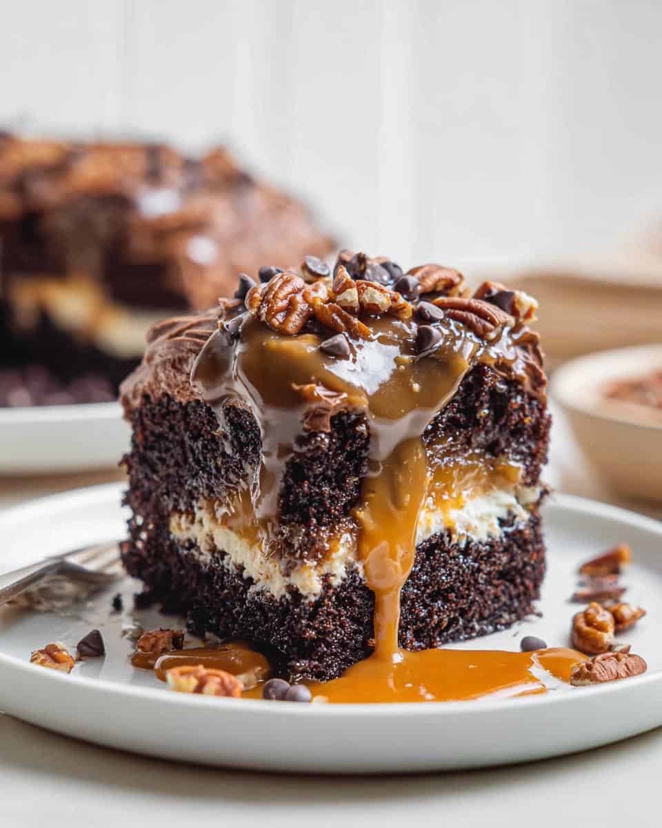 Turtle Poke Cake - detail 1