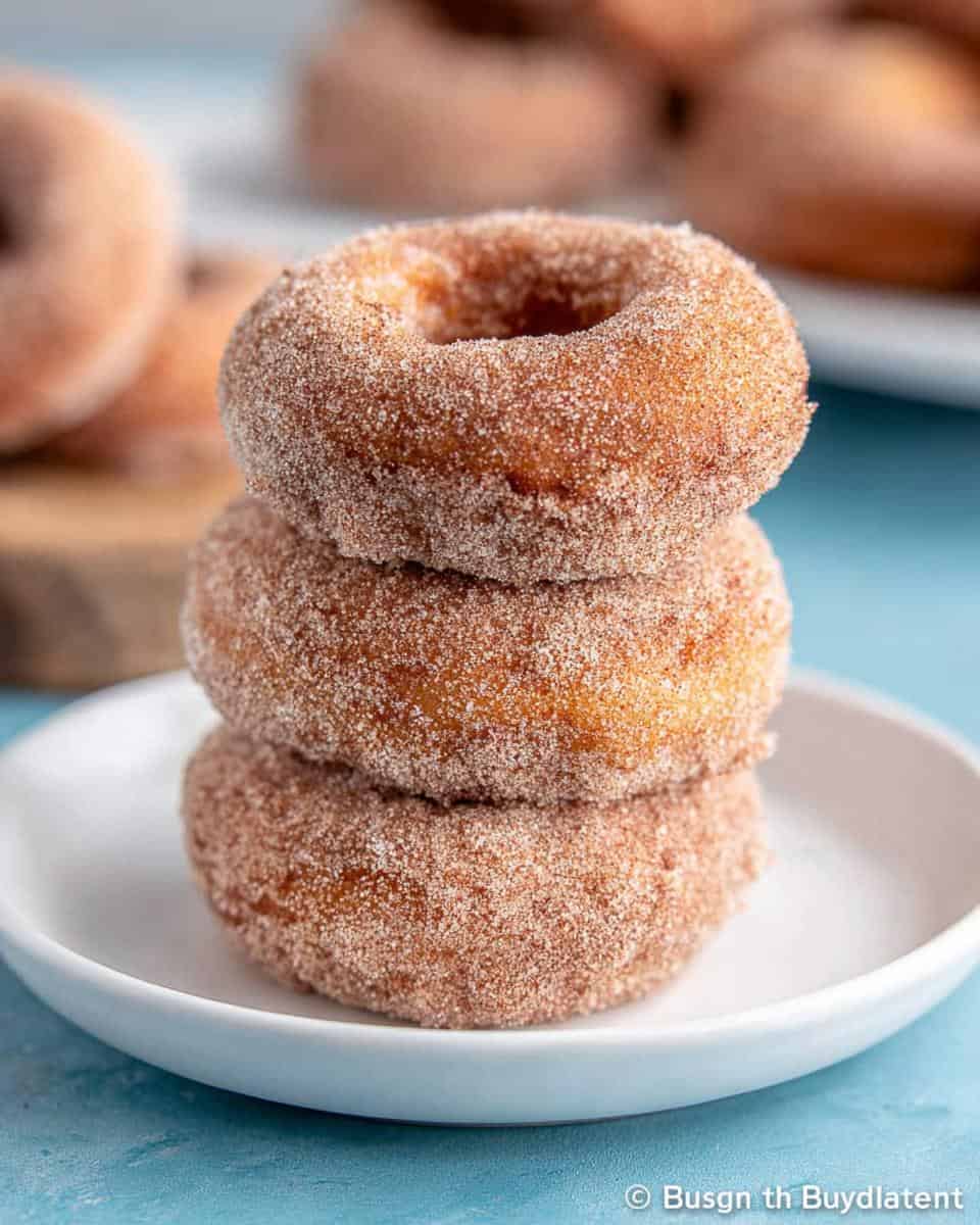 Cinnamon Sugar Donuts - detail 2
