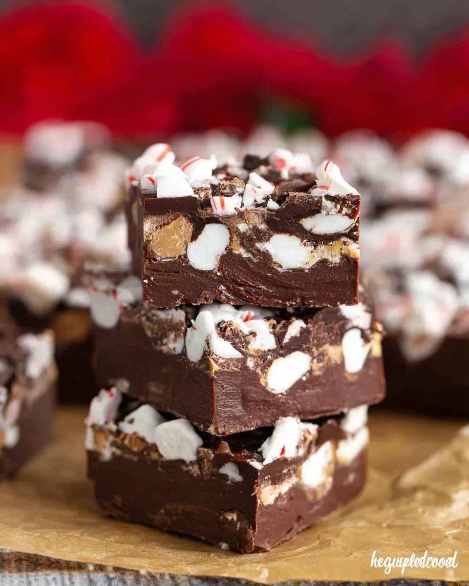 Dark Chocolate Peppermint Patty Fudge - detail 2