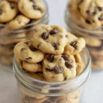 Mini Chocolate Chip Cookies