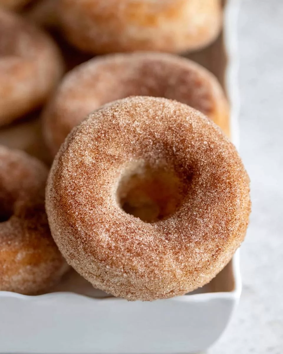 Cinnamon Sugar Donuts - detail 2