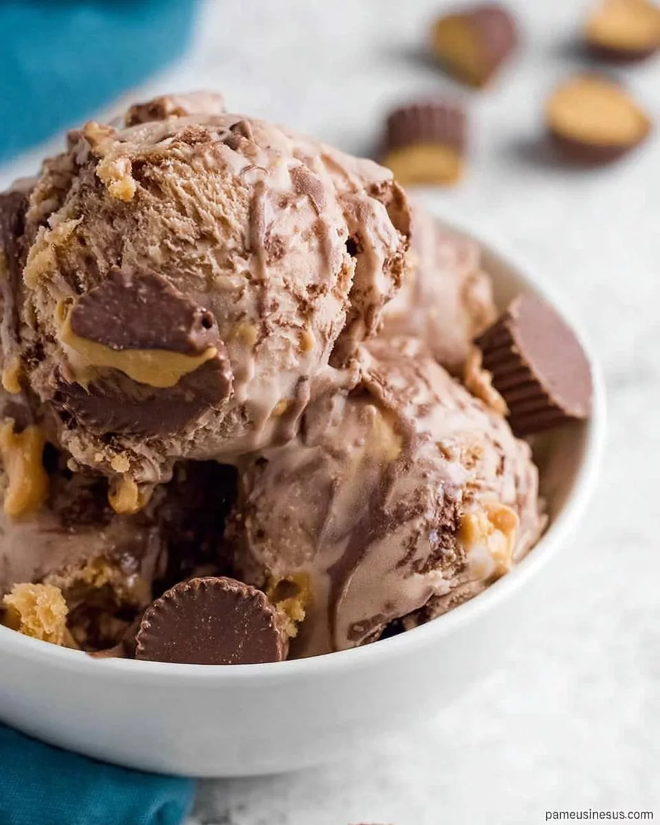 Reese’s Peanut Butter Ice Cream - detail 1