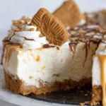 Cookie Butter No Bake Cheesecake